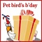 Pet Bird's Birthday!