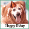 Pet Birthday!
