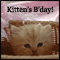 Pet Kitten's Birthday!