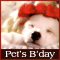 Birthday Wish For A Pet!