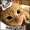 Happy Birthday Kitty!