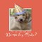 Happy Birthday Dog, Funny Golden...