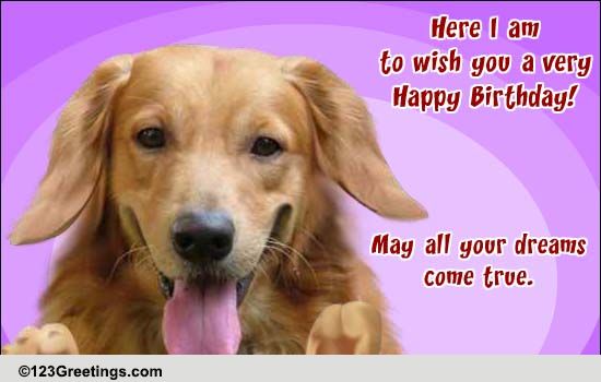 Here I Am To Wish You... Free Pets eCards, Greeting Cards | 123 Greetings
