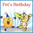Pet Cat's Birthday!