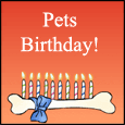 Pet Dog's Birthday!