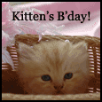 Pet Kitten's Birthday!