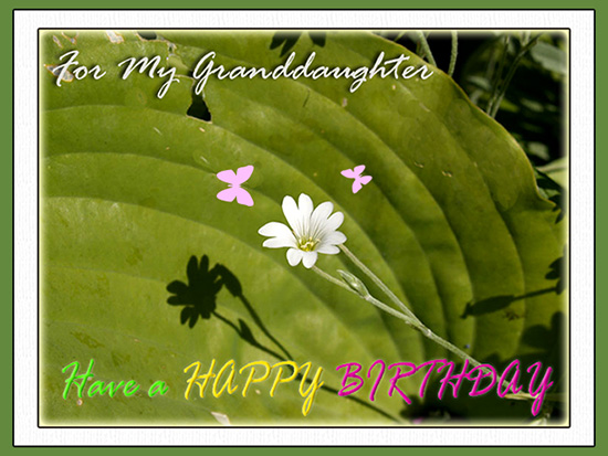 For My Granddaughter. Free For Son & Daughter eCards ...