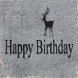 Happy Birthday To Son Walking Deer.