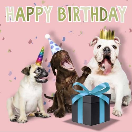 The Puppies Birthday Song. Free Songs eCards, Greeting Cards | 123 ...