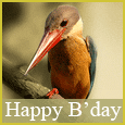 A Fun Birthday Wish!