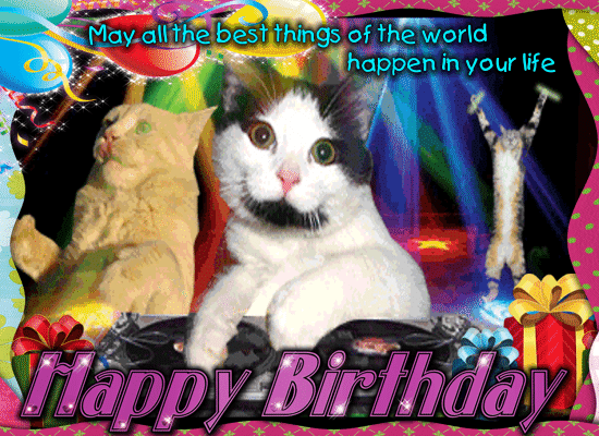 Free Animated Cat Birthday Ecards Sending cards with got free cards is ...