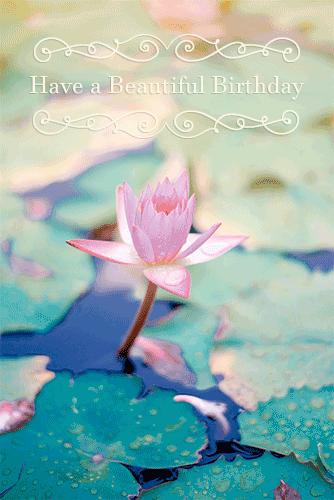 Happy Birthday With Pretty Water Lily.