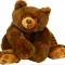 A Teddy Bear Birthday Wish.