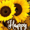 Sunny Birthday Flowers %26 Wishes!