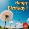 Love And Joy On Your Birthday.