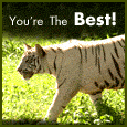 You're The Best!