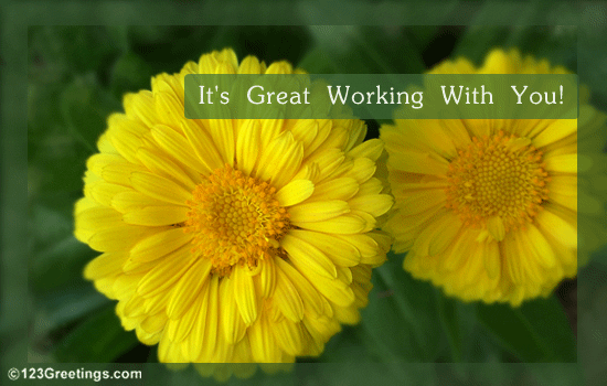 it-s-great-working-with-you-free-business-relations-ecards-123-greetings