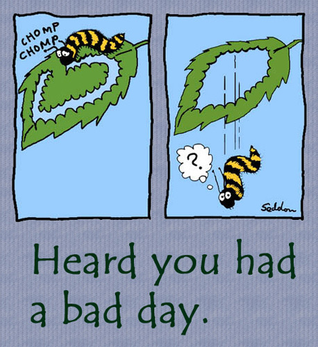 Heard That You Had A Bad Day.
