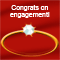 To The Engaged Couple!