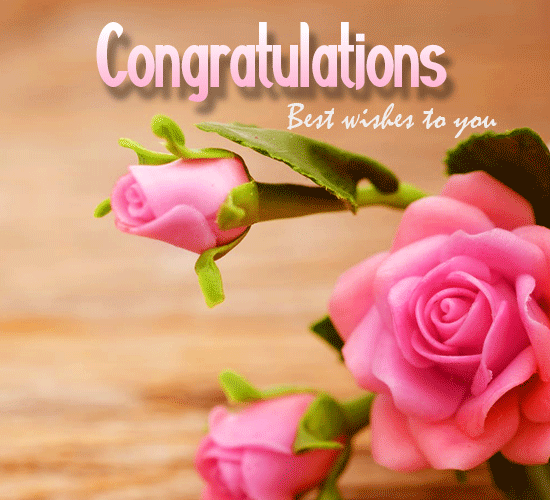 Congratulations, Rose Flower... Free For Everyone eCards, Greeting ...