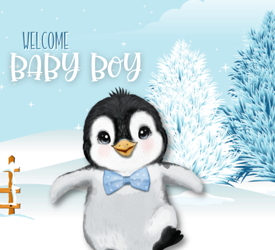 Congratulations Baby Boy Penguin Card.
