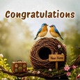 Congrats On Your New Place