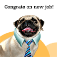 Congrats On Your New Job!
