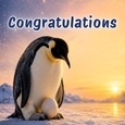 Congratulations Mom To Be