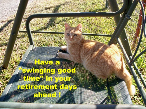 Retirement Wishes From A Cat!