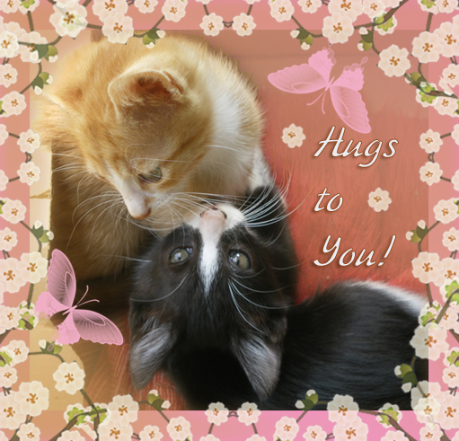 Hugs To You.