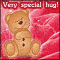 A Beary Special Hug!