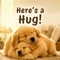 Warm Hugs For Someone You Love