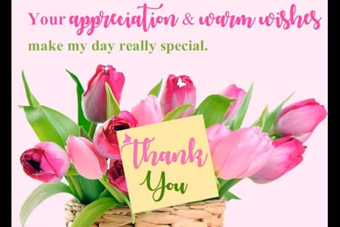 Thank You For Ur Special Appreciation. Free Thank You eCards | 123 ...