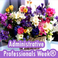 Admin Proffesional Week Wishes