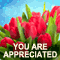 You Are Really Appreciated!