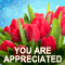 You Are Really Appreciated, Thank You!