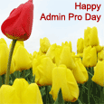 One-in-a-million Admin Pro!