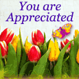 You Are Really Appreciated!