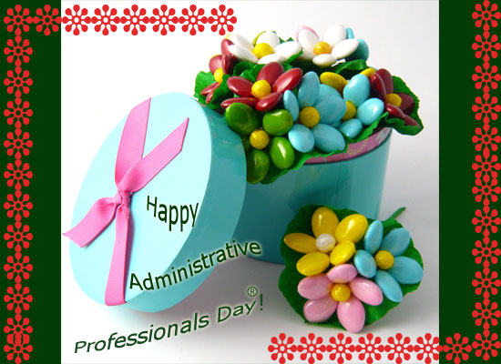 Happy Admin Pro Day...