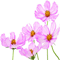 Administrative Professional Day%AE!