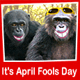 Fun Family April Fools' Day Message!