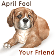 April Fool Your Friend!