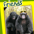 Friendship Snapshot!