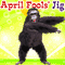 Happy April Fools' Day