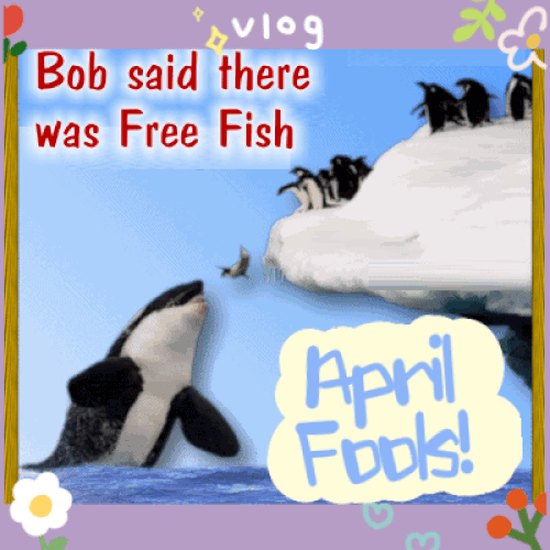 Bob Said There Was Free Fish.