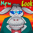 Brand New Look!