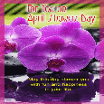 Send April Showers Day Ecard!