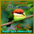 An April Showers Day Card For You.
