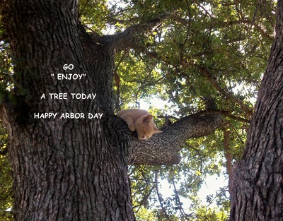 Arbor Day Tree Cat.