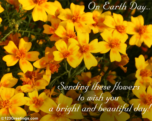 Smiling Flowers On 'Earth Day'...